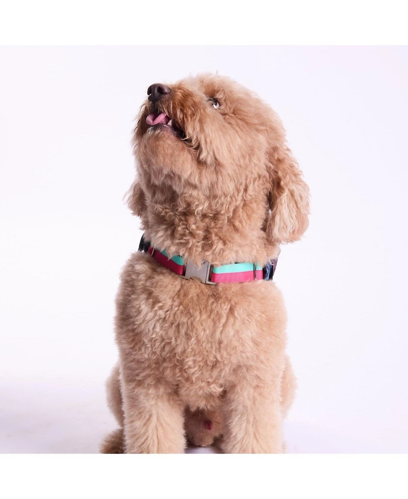 Trina Turk Denim Jacket & Harness Set