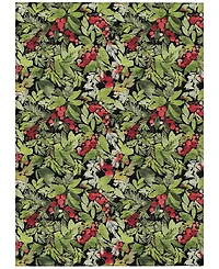 Addison Holiday Washable Indoor/Outdoor ACN1816 10'x14' Area Rug