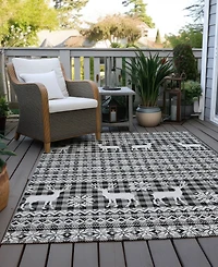 Addison Holiday Washable Indoor/Outdoor ACN1820 10'x14' Area Rug