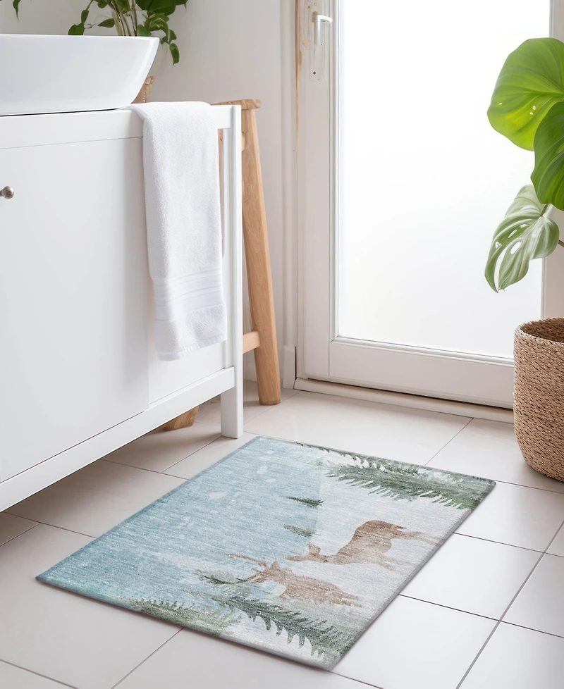 Addison Holiday Washable Indoor/Outdoor ACN1821 1'8"x2'6" Area Rug