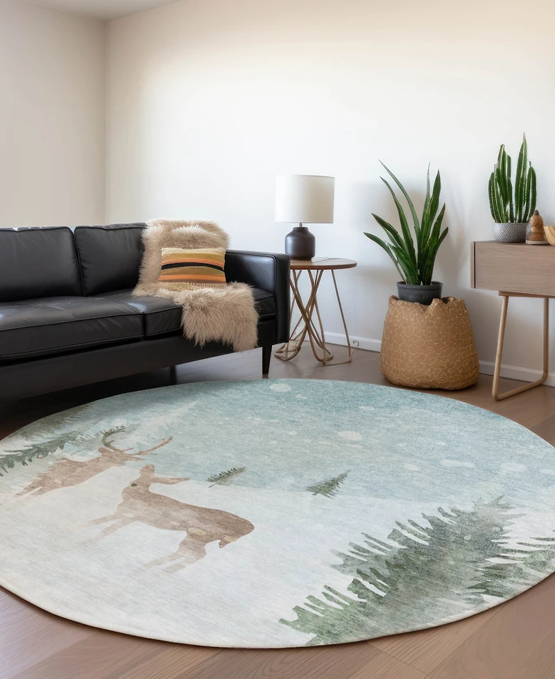 Addison Holiday Washable Indoor/Outdoor ACN1821 8'x8' Round Area Rug