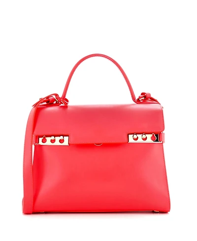 Pre-Owned Delvaux Gm Tempete Top Handle Bag Leather