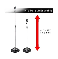 Classic Retro Vintage Style Microphone & Swing Stand, Silver Style