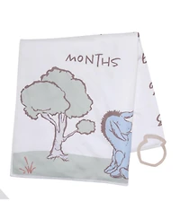 Lambs & Ivy Baby Pooh Bear and Pals Photo Opportunity Milestone Fleece Blanket