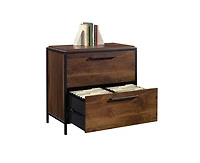 Casainc Storage File Cabinet with 2 Drawers