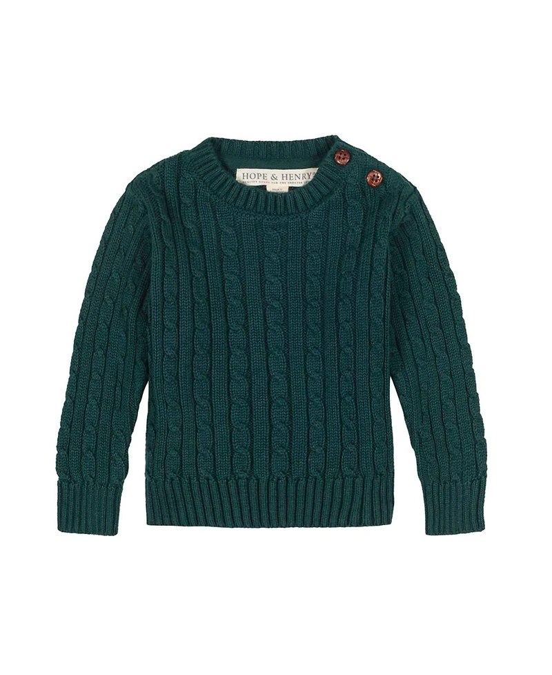 Hope & Henry Baby Boys Organic Cable Crewneck Pullover Sweater