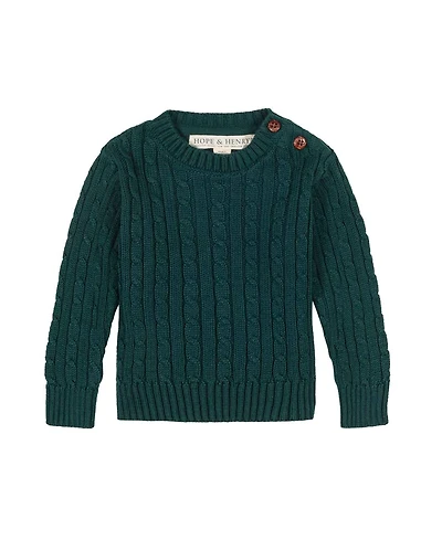 Hope & Henry Baby Boys Organic Cable Crewneck Pullover Sweater
