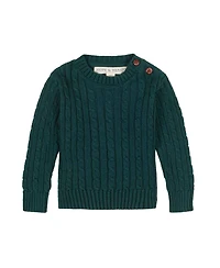 Hope & Henry Baby Boys Organic Cable Crewneck Pullover Sweater