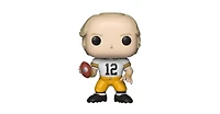 Funko Pittsburgh Steelers Funko Pop Nfl Legends | Terry Bradshaw