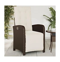 Reclining Garden Chair Brown Pe Rattan, Powder-Coated Steel