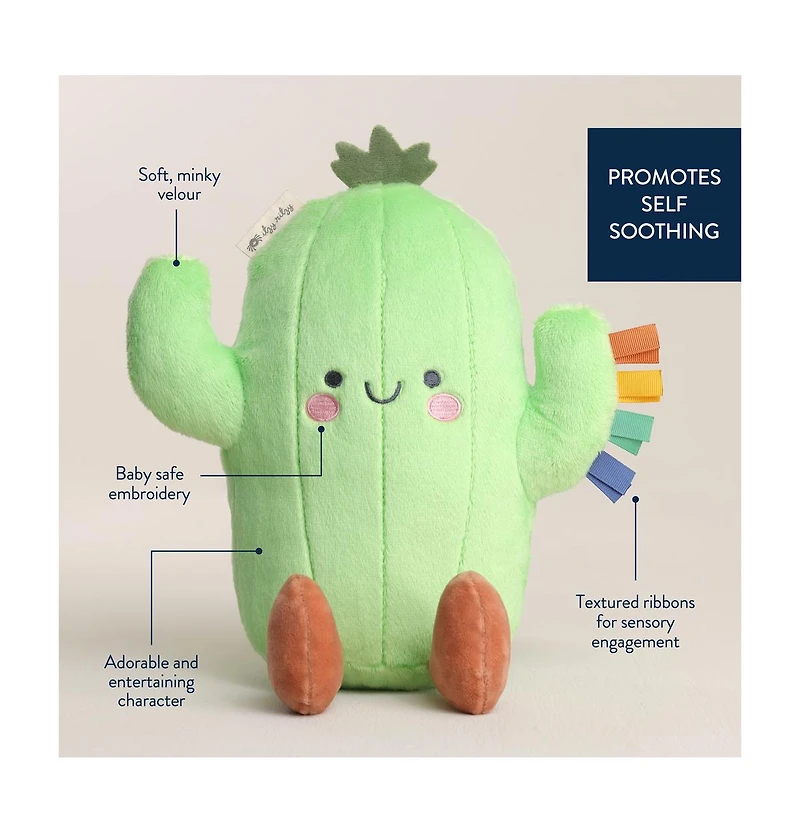 Itzy Ritzy Baby Sweetie Snuggles Cactus
