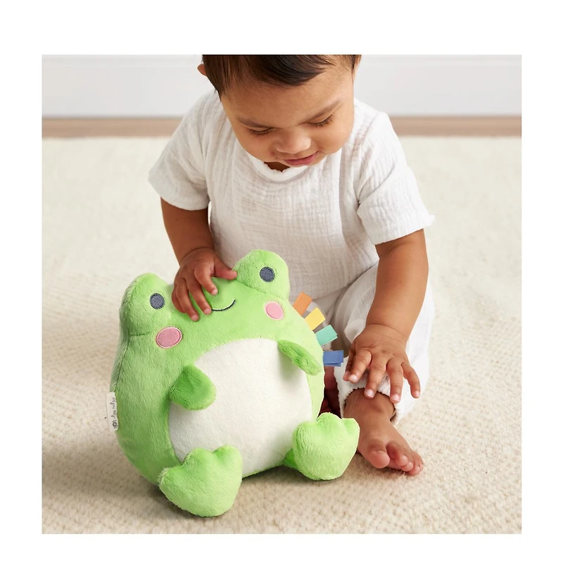 Itzy Ritzy Baby Sweetie Snuggles Frog