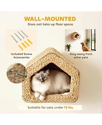 PawHut Wall Mounted Cat House, Cat Wall Furniture with Washable Cushion