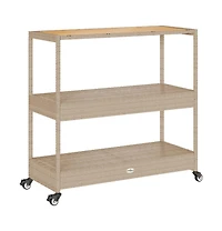 vidaXL Bar Cart 3-Tier Poly Rattan and Solid Wood Acacia