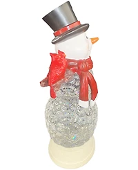 Santa's Workshop 10" Led Snowman and Cardinal