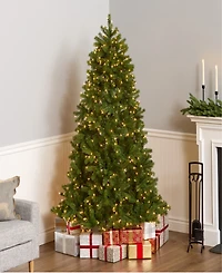 National Tree 6.5' "Feel Real" Downswept Douglas Fir Hinged Tree with 650 Clear Lights