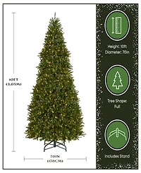 National Tree 10' Dunhill Fir Hinged Tree with 1200 Low Voltage Dual Led Lights with 9 Function Footswitch