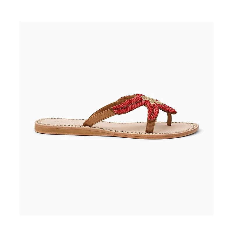 Jack Rogers Women's Starland Sandal