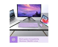 risokeys Wireless 2.4GHz Silent Full-Size Keyboard and Mouse Combo with 2-in-1 Receiver for Laptop