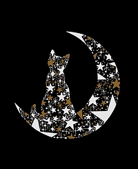 La Pop Art Women's Cat Sitting On Moon Word V-Neck T-Shirt