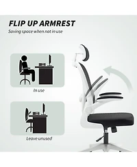 Homcom Ergonomic Office Chair, Mesh Desk Chair with Lumbar Support,