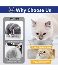 Wopet 6 Pack Stainless Steel Cat Food Bowls Deep Whisker Friendly Non Slip Silicone Base Easy Clean Indoor Feeding Dishes 59 Inch