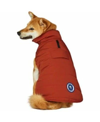 Blueberry Pet Windproof Waterproof Quilted Dog Puffer Jacket with Dual Zipped Leash Opening