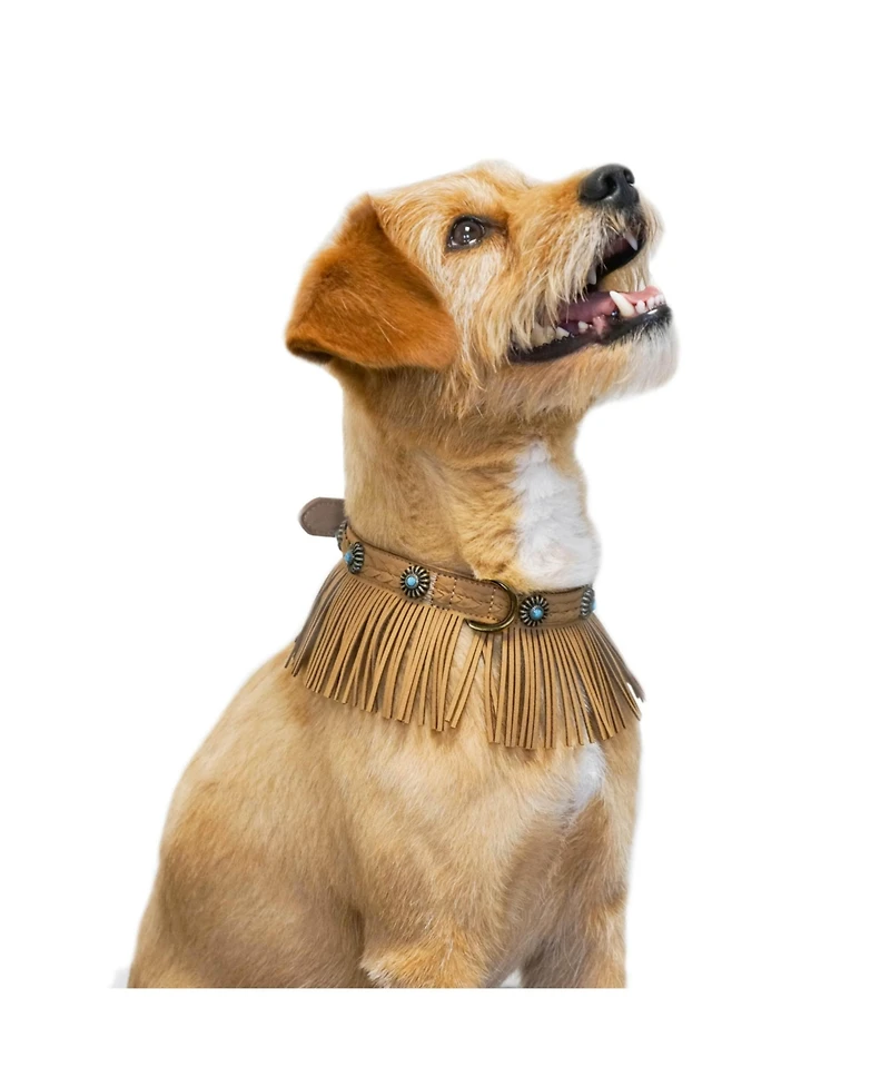 Blueberry Pet Silver-Powered Freshness Microfiber Suede Dog Collar Camel Tan – Fringed Style with Turquoise Studs