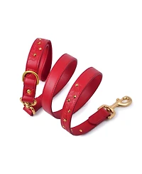 Blueberry Pet Silver-Powered Freshness Microfiber Suede Dog Collar – Embossed Classic Pattern with Bronze Studs