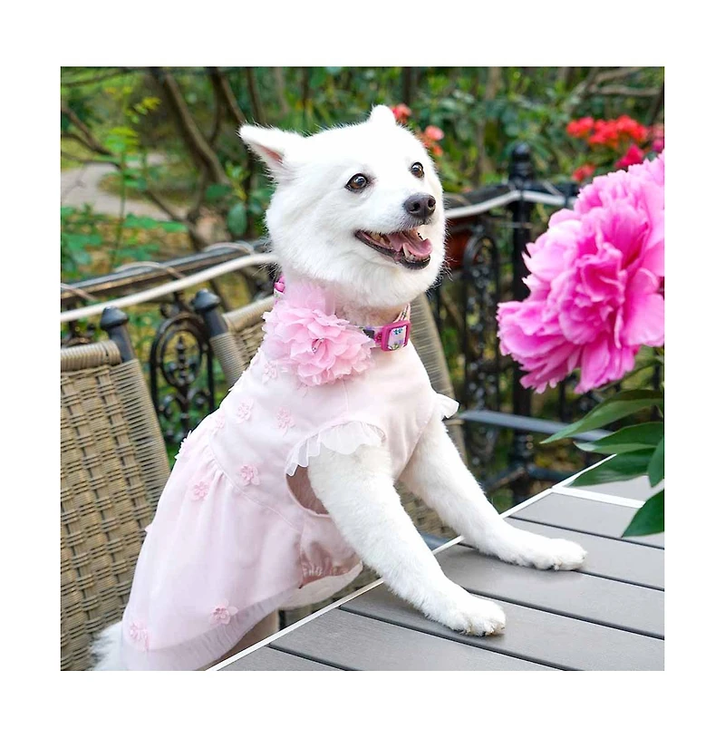 Blueberry Pet Breton Stripe Dog Dress