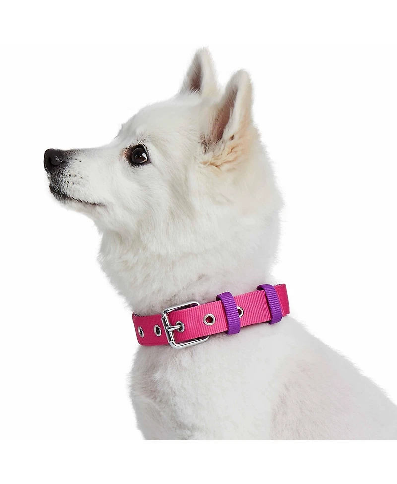 Blueberry Pet Color-Block with Metal Buckle Dog Collar Sky Blue and Dark Green Neck 13"-16.5" Medium
