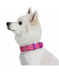 Blueberry Pet Color-Block with Metal Buckle Dog Collar Sky Blue and Dark Green Neck 13"-16.5" Medium
