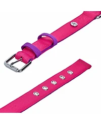 Blueberry Pet Color-Block with Metal Buckle Dog Collar