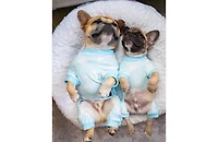 Parisian Pet Blue Cloud Pajama