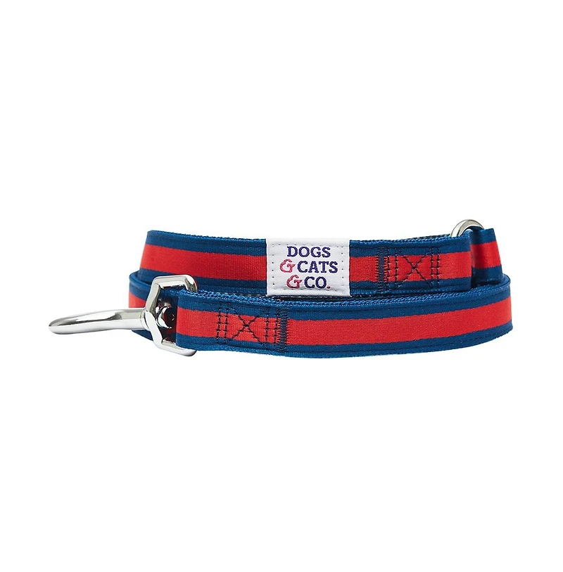 Dogs & Cats Co. Striped Dog Leash Red and Pink