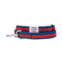 Dogs & Cats Co. Striped Dog Leash Red and Pink