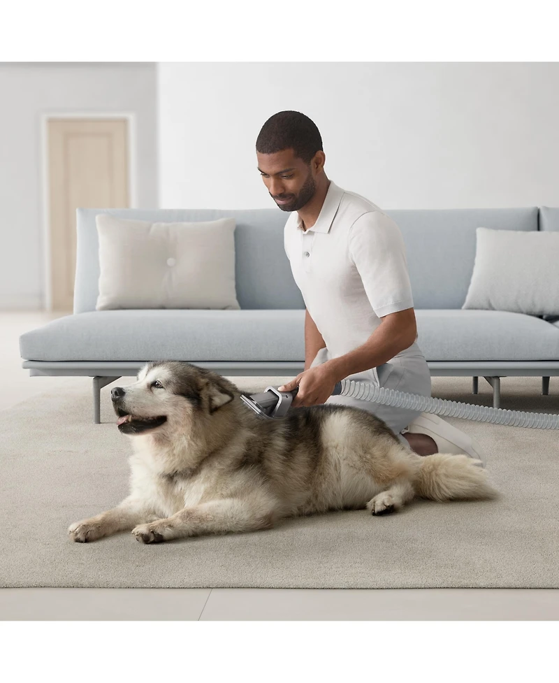 Dyson Ball Animal 3 Complete Upright Vacuum