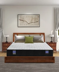 Spring Air Back Supporter Amelia 12" Hybrid Firm Tight Top Mattress Set, Queen