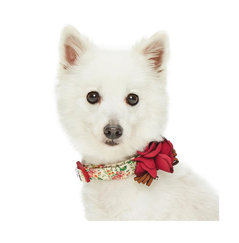 Dogs & Cats Co. Pet Spring Floral Dog Collar with Removable Camellia Flower Accessory