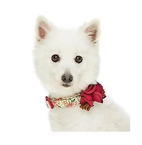 Dogs & Cats Co. Pet Spring Floral Dog Collar with Removable Camellia Flower Accessory
