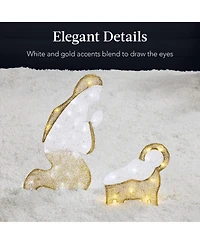 Best Choice Products Lighted 2D Christmas Nativity Scene Outdoor Decor w/ Twinkling Led Lights