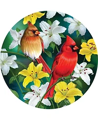 SunsOut Cardinals in the Round 500 piece Jigsaw Puzzle for Adults Round