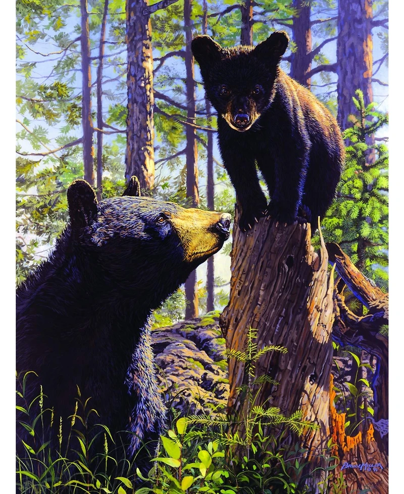 SunsOut Stump Jumper 500 piece Jigsaw Puzzle for Adults