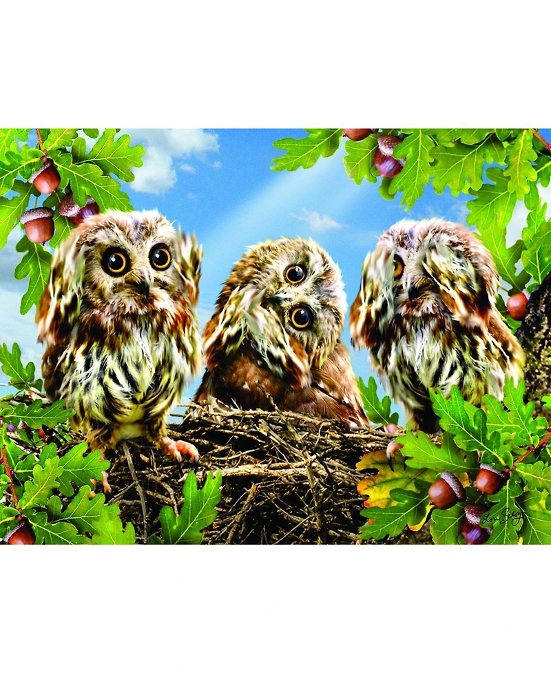 SunsOut Hear No Speak No See No 300 piece Jigsaw Puzzle for Adults