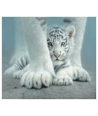 SunsOut Sheltered 550 piece Jigsaw Puzzle for Adults