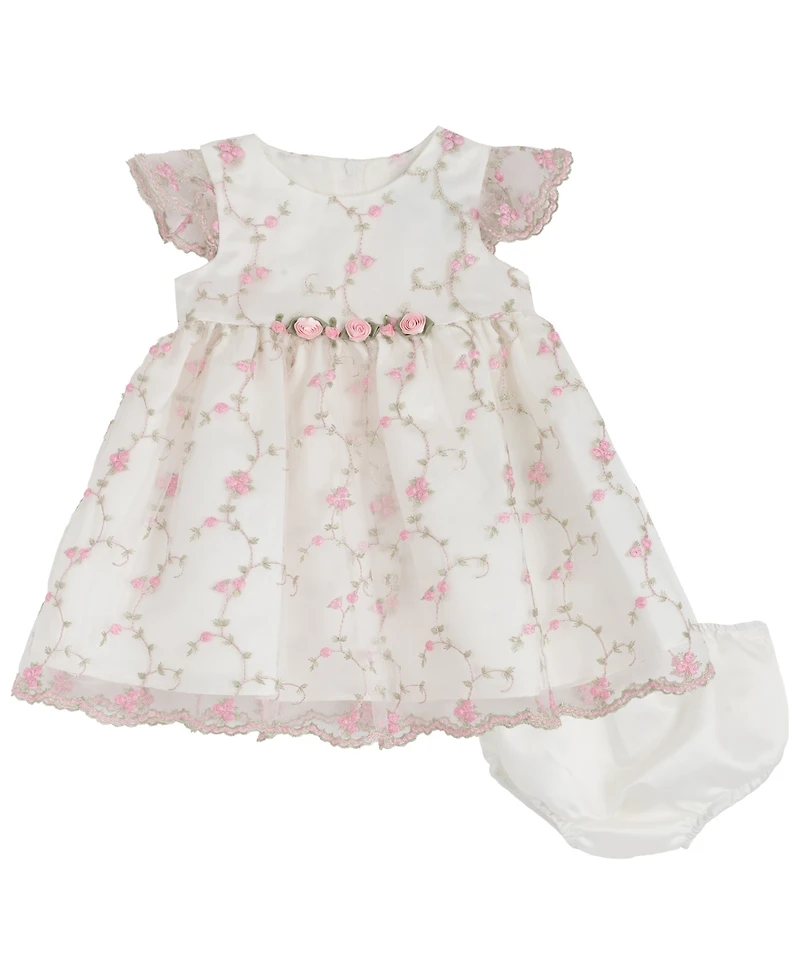 Rare Editions Baby Girls' Flower Vine Embroidery Round Neck Mesh Dress and Panty, 2-Piece Set