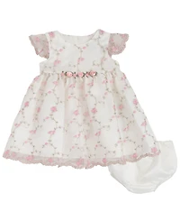 Rare Editions Baby Girls' Flower Vine Embroidery Round Neck Mesh Dress and Panty, 2-Piece Set