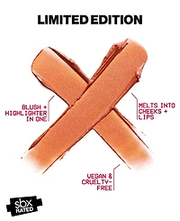 Smashbox Rated Lit Stx Blush and Highlighter