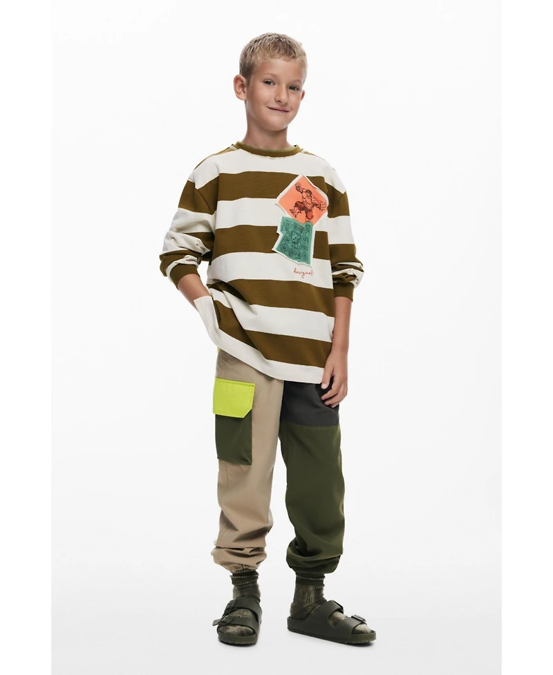Desigual Boys Boys's Striped sweatshirt hulk