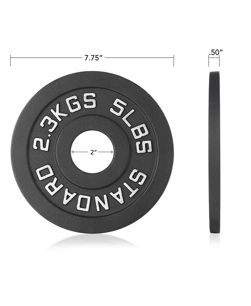 Philosophy Gym Set of 2 Standard Cast Iron Olympic 2-inch Weight Plates ( Lb each